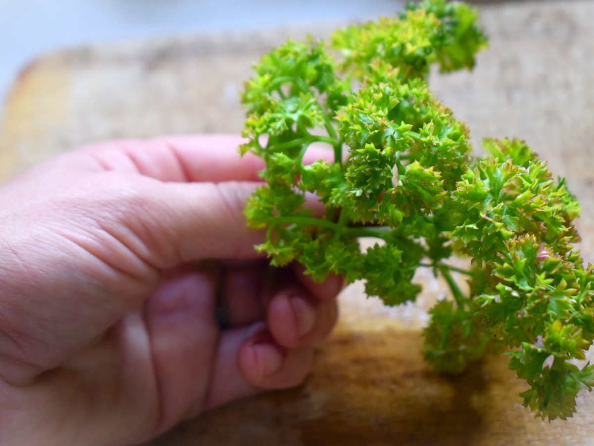 How to Start Growing Parsley